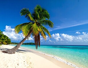 Sunny beach scene with palm tree, turquoise waters, and blue sky