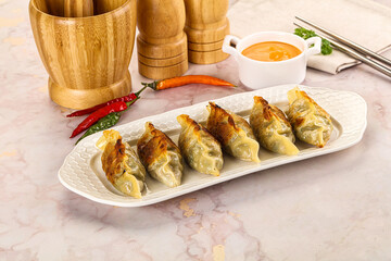 Japanese fried Gyoza stuffed dumplings