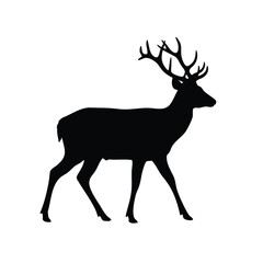 Silhouette of a Strolling Deer with Majestic Antlers Against a White Background