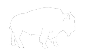A walking bison in detailed line art contour style stands with head held high and horns forward. Its realistically shaded fur and focused gaze create a powerful monochrome illustration.