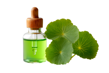 Green liquid in dropper bottle with gotu kola leaves isolated on transparent background