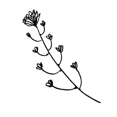 Hand drawn flower drawing. Doodle sketch vector illustration.