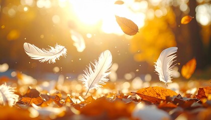 秋の光に舞う白い羽と落ち葉の幻想的な風景　generative ai