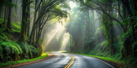 Obraz premium Mystical Forest Road Sunbeams Illuminate Winding Asphalt Path Through Lush Green Canopy