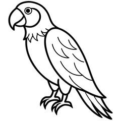 Fototapeta premium parrot on a branch