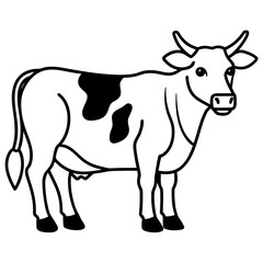 black and white cow
