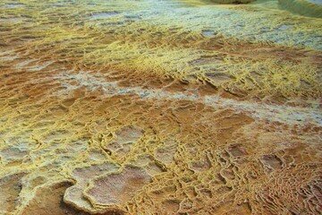 Pamukkale: Travertine Terraces in Turkey