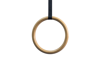 Gymnast ring hanging; light wood, dark strap on black background