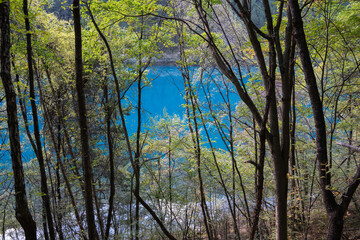 Fototapeta premium Clear lakes and forests