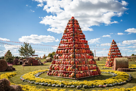 Pumpkin pyramids at the fall fair. Outdoor holiday decorations for Halloween, Thanksgiving and autumn celebrations. Fall harvest festivals in a city park or street.	