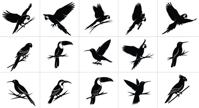 Vector art of silhouette of birds in various poses set of different bird shapes in black and white collection of monochrome bird vector illustration