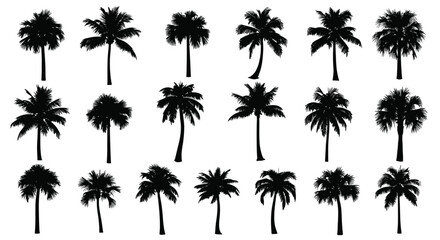 Vector art of set of tropical palm tree silhouettes collection of various palm trees in different shapes and sizes vector illustration of exotic plants
