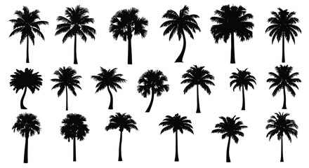 Vector art of set of tropical palm tree silhouettes collection of various palm trees in different shapes and sizes vector illustration of exotic plants