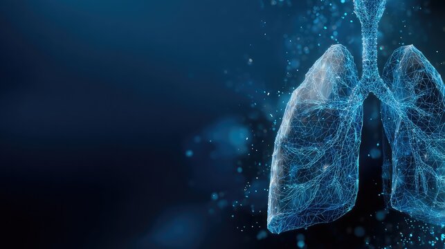 Digital lungs anatomy illustration for respiratory health and medical technology