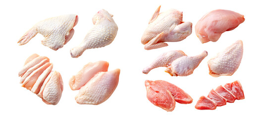 Assortment of fresh raw chicken parts isolated on a white background.