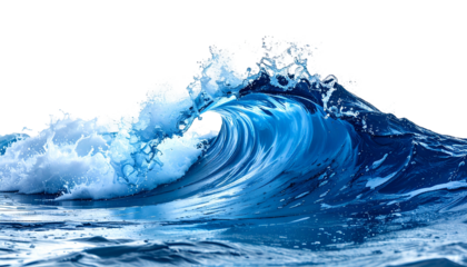 A curling ocean wave with cresting white foam against a black background