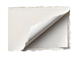 Torn paper sheet with curled edge for creative presentations