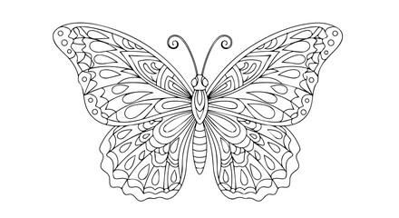 Butterfly Line Art – Symmetrical Black-and-White Decorative Transparent Design 