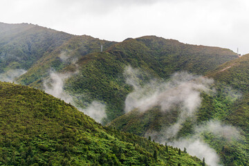 Mist Rising Over Lush Green Mountain Slopes