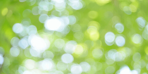 Obraz premium Soft green bokeh light abstract background with natural blur effect, bright eco-friendly design for nature and wellness themes