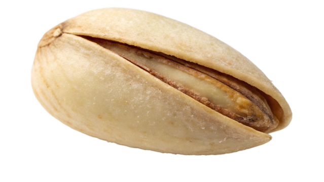 Pine nut seed, matte pale tone with subtle surface imperfections, isolated realistic object.