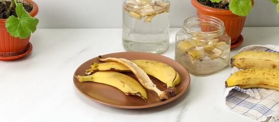 Banana peels infusing water making organic plant fertilizer