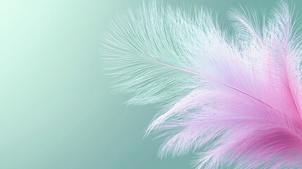 Fototapeta premium Soft pink and white feathers on a green-teal gradient background, showcasing delicate texture and airy elegance. Ideal for design, decoration, and commercial creative use.