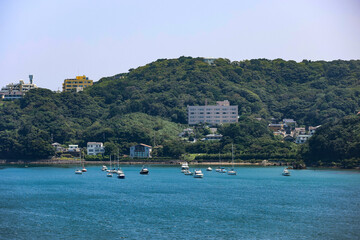 伊豆半島の緑豊かな山を背景にした下田港に浮かぶたくさんの小舟