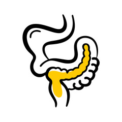 Digestive Organ Illustration for Anatomy Design