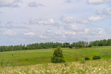 A beautifully serene green landscape is adorned with a stunningly cloudy sky above it