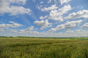 A breathtaking, scenic landscape featuring lush green fields under a clear blue sky