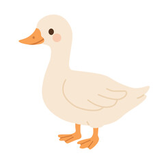 Cute white goose standing, flat vector cartoon illustration, isolated domestic farm bird