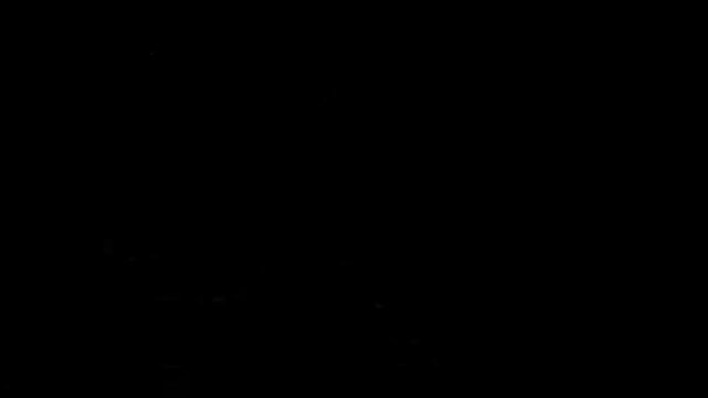 Black background concept for diverse design elements and visual aesthetics use black to set a sleek 4K Motion Animations
