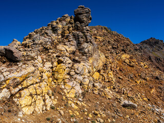 恵比寿大黒付近