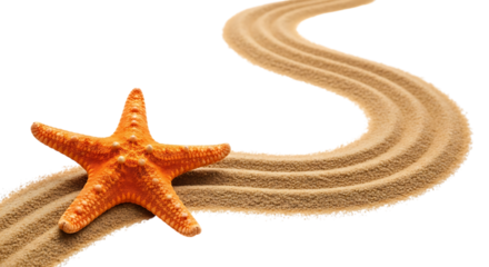 Orange starfish on a wavy sand path isolated on transparent background