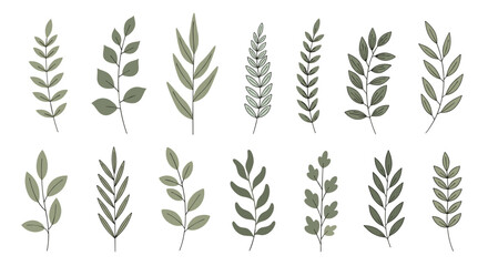 Obraz premium A collection of elegant botanical illustrations featuring various types of leaves and branches for naturalistic design elements.