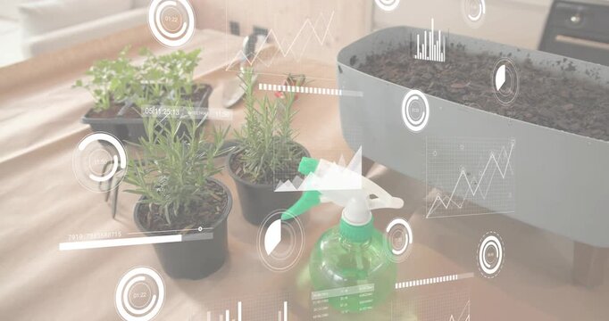 Digital gauges launching on tabletop at play start, monitoring seedlings and rosemary metrics