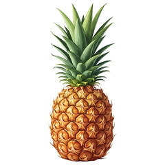 Fototapeta premium Pineapple spiky: