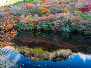 紅葉の逆さ茶臼（ひょうたん池）