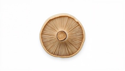 Isolated shiitake mushroom viewed from above on a clean white background. Perfect for culinary visuals, ingredient design, and natural organic food presentations.