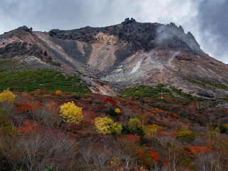 紅葉の姥ヶ平からの茶臼岳