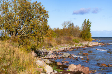 Autumn coastal landscape with rocky shore, blue sea water and golden foliage trees. Natural seaside scenery featuring stone beach, waves, colourful fall vegetation and peaceful Baltic Sea environment.