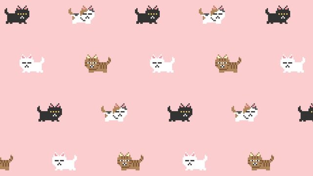 Dissatisfied Cat Pattern in Pixel Art Animation, Pink Loop Background