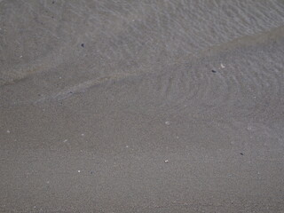 footsteps on the Sand 