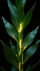 Art Exhibition of Green Leaves