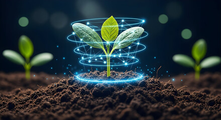 Witness the future of farming with vibrant seedlings and innovative technology