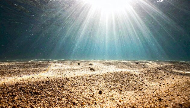 太陽の光が差し込む神秘的な海の底