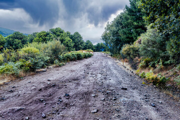 Camino del Puerto de Casillas