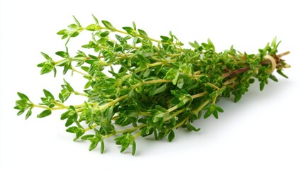 A bundle of fresh thyme rests on a white surface showcasing its lively green leaves. This herb is often used in cooking for its aromatic flavor and health benefits.