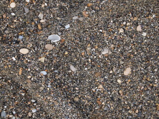 pebbles on the beach